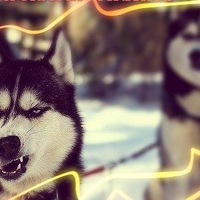 Костя Кондратенко
