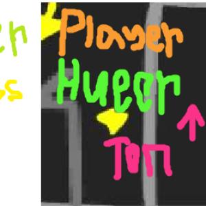 PlayerHueer