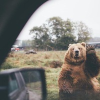 Макс Соловод