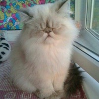 Александр Кусь