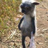 Костя Пархомчук