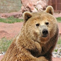 Андрей Крышка
