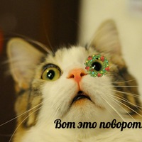 Дмитрий Бычков