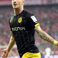 Николай Векшин