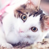 Саша Бронников
