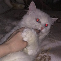 Саша Райский