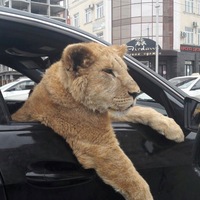 Марсель Муллагалеев