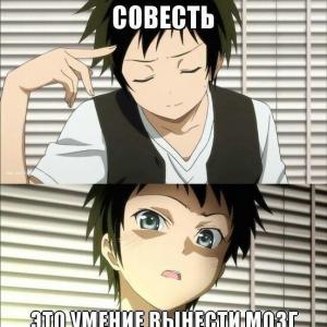 PRO100YPARENb