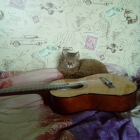 Гордей Петух