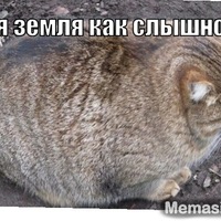 Тимур Нугуманов