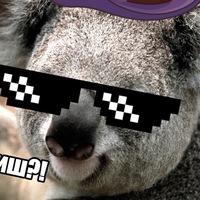 Данил Попов