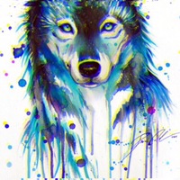 Саша Костромцов