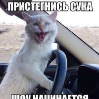 Роман Семёнов