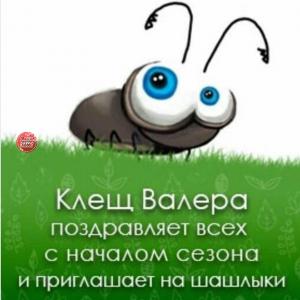 Мансур Грех