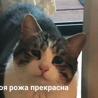 Артём Кк
