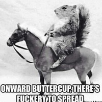 Зубцов Илья