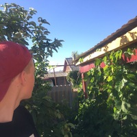 Евгений Недев