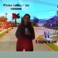 Антон Соколов