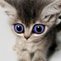 Ирина Мухлынина