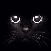 Дима Абдурахманов