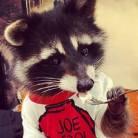 Марат Мауэр