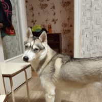 Андрей Чемакин