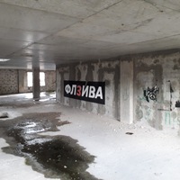 Макс Жеребцов