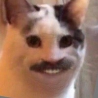 Денис Швецов