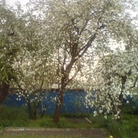 Глеб Хансен