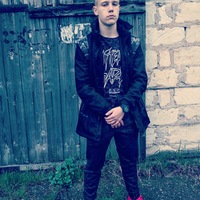 Дмитрий Добровольский