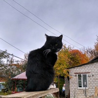 Миша Дыдик
