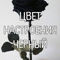 Кирилл Калинин