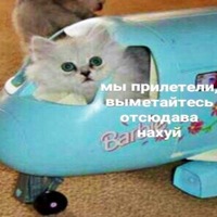 Не Кузьма