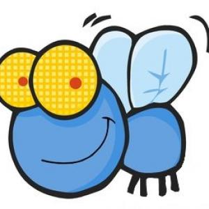 Myxa