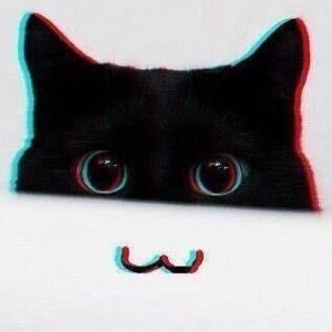 Макс Котов