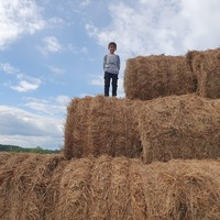 Elvin Agaev