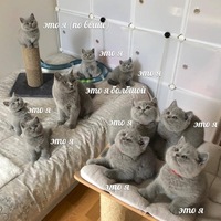 Никита Самповский