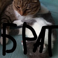 Виктор Борхонов