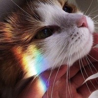 Святослав Арестов