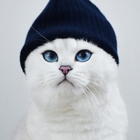 Олег Диденко