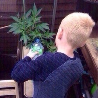 Дима Цвет