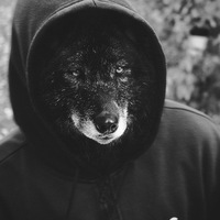 Влад Витенчук