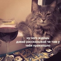 Кирилл Арсентьев