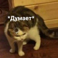 Максим Васильчук