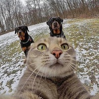 Марсель Идрисов