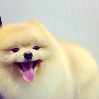 Дурной Ромка