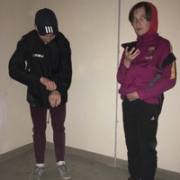 Максим Ворошнин