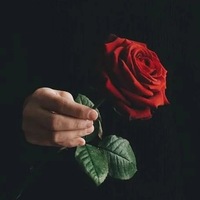 Сергей Бегунков