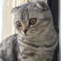 Артём Исламгулов