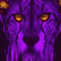 Егор Попиков